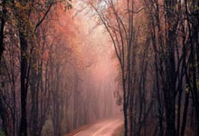 德甲官宣中国U16男足“逐梦德甲”第二季,将在门兴和狼堡训练.