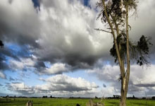 问鼎:国足vs澳大利亚全场数据:国足射门数-占优,射正-.